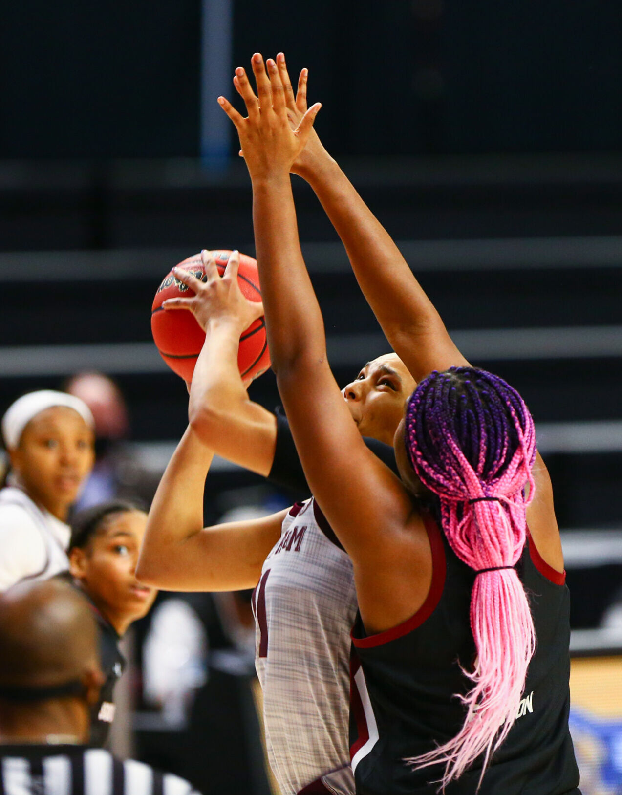 Women's basketball vs. South Carolina